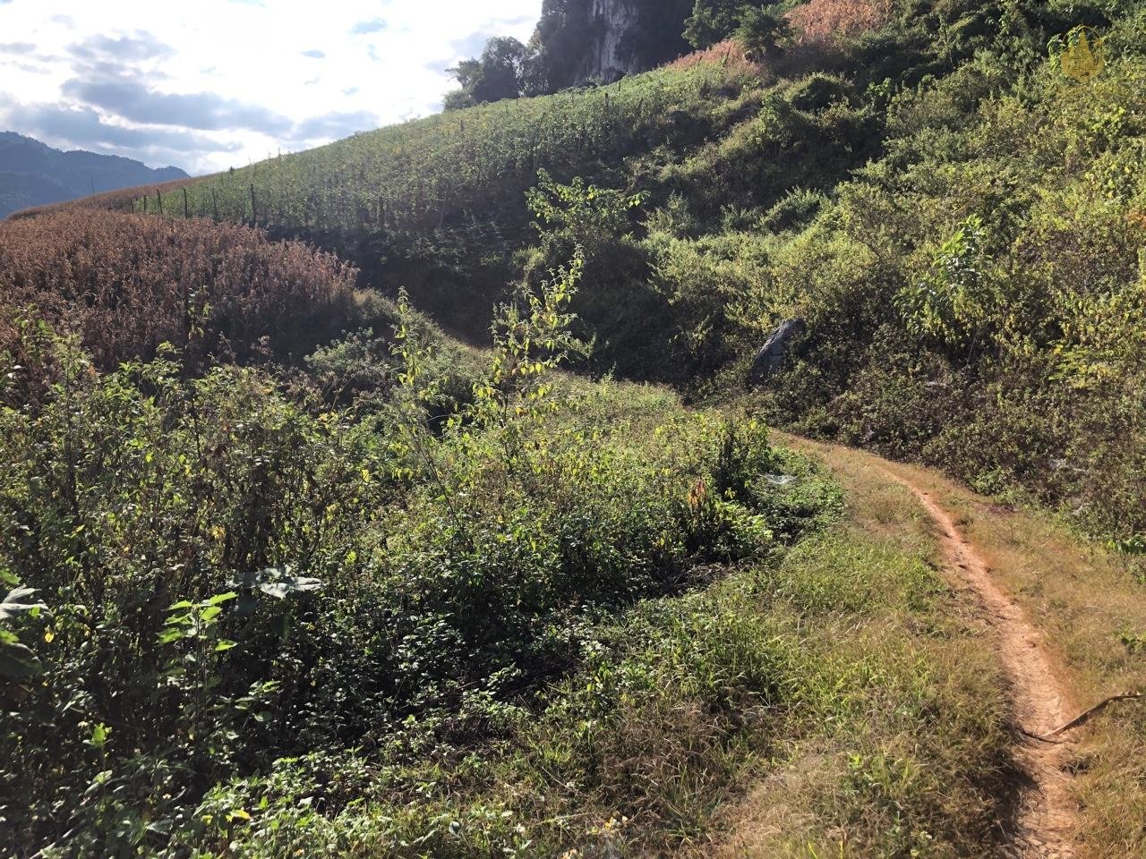 Moc Chau Cycling Tour 6 Days Conquering the Green Highlands